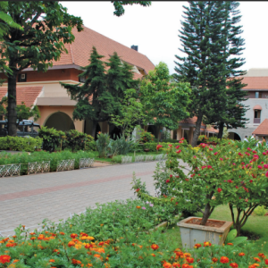 National Institute of Advanced Studies