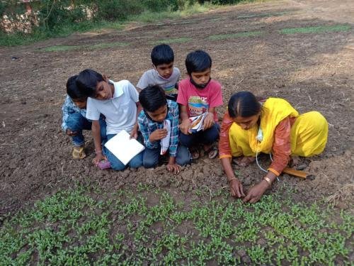 ANAND- Farming-Observation-1