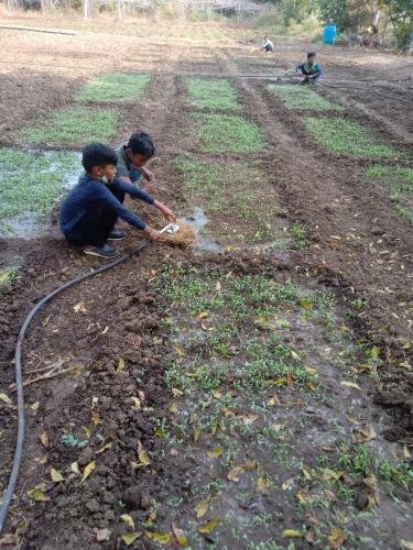 ANAN Farming-watering-plants-1 (1)